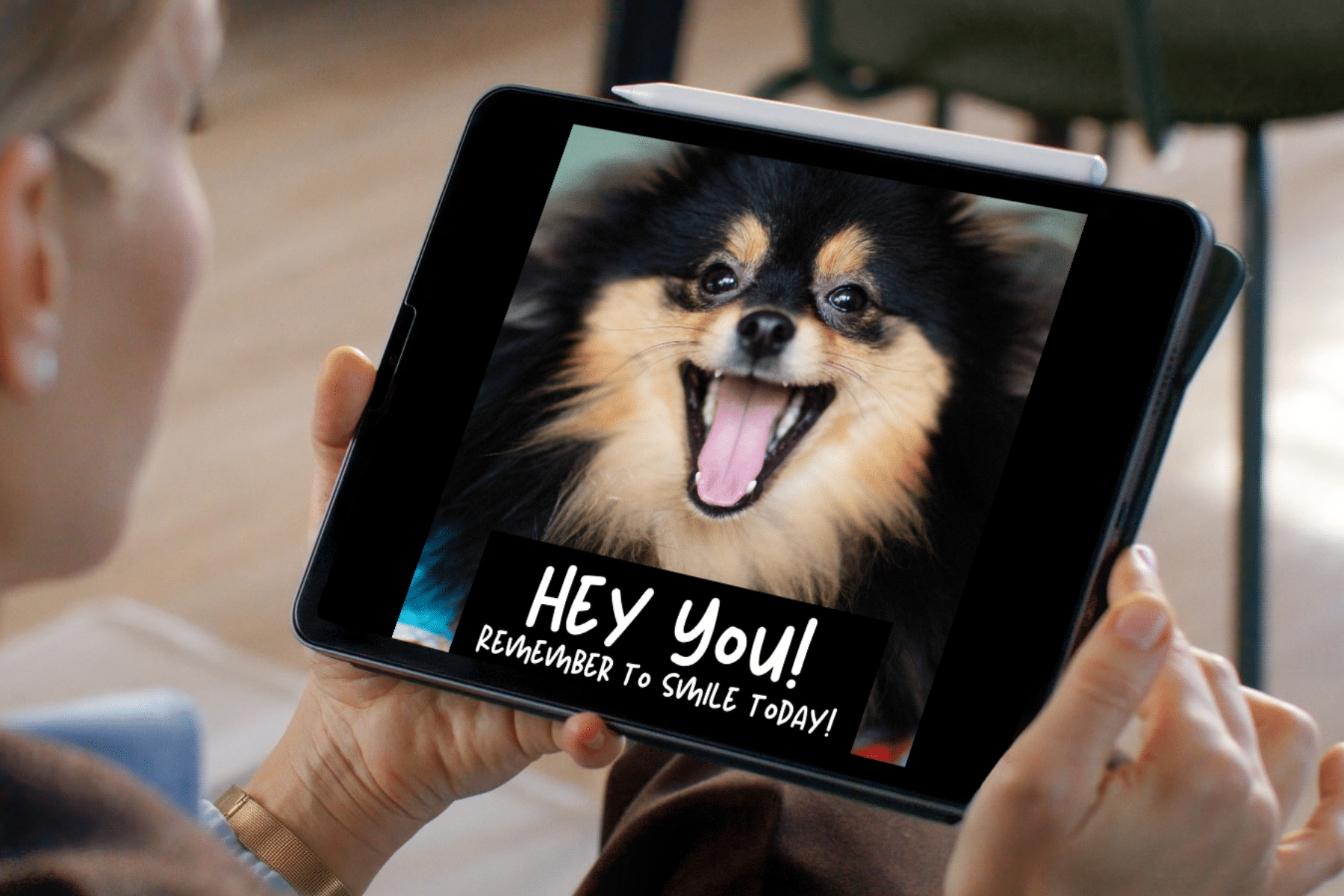 Dog Meme Cute Funny And 10 Free Downloads To Use Today Basically Dogs