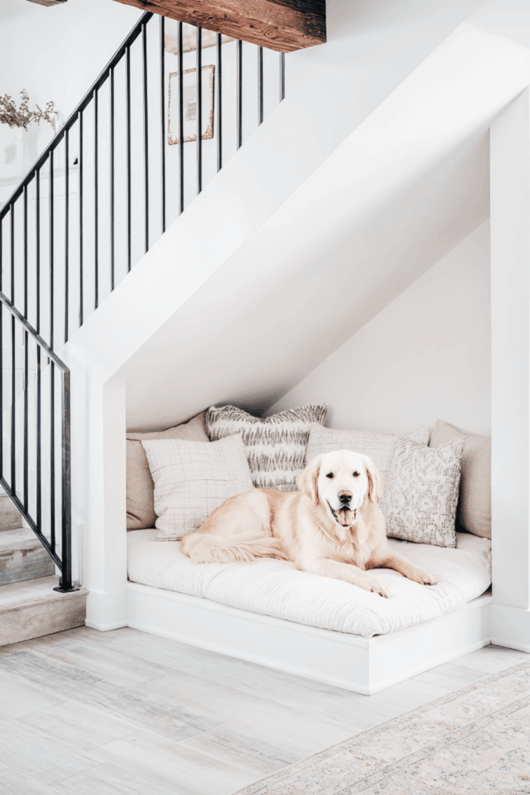 Bed with Dog Bed Underneath