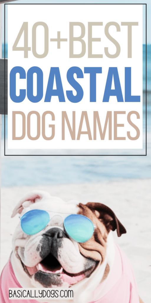 40+ Coastal Dog Names_ Cute, Unique, and Fun for Male and Female 4