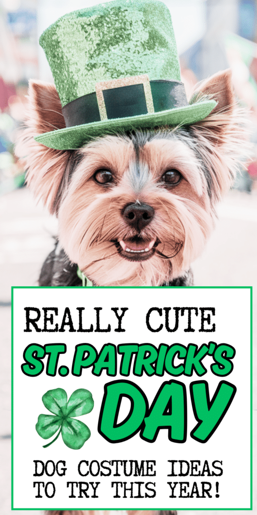 Cute Dog St. Patrick's Day Outfits and Accessories 2