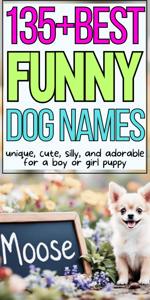 135+ Funny Dog Names_ Unique, Cute, and Silly for a Boy or Girl 1