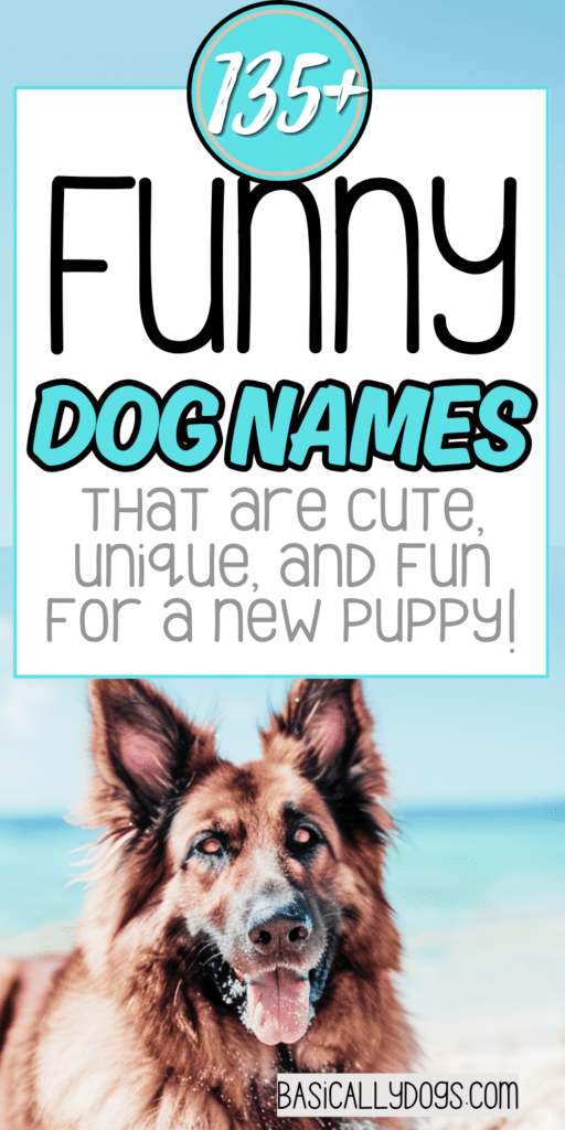 135+ Funny Dog Names_ Unique, Cute, and Silly for a Boy or Girl 2