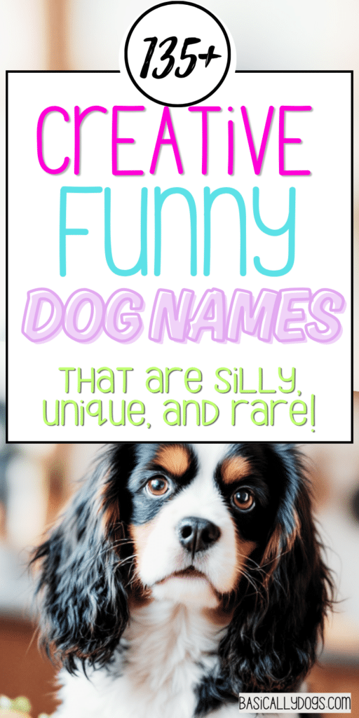 135+ Funny Dog Names_ Unique, Cute, and Silly for a Boy or Girl 5