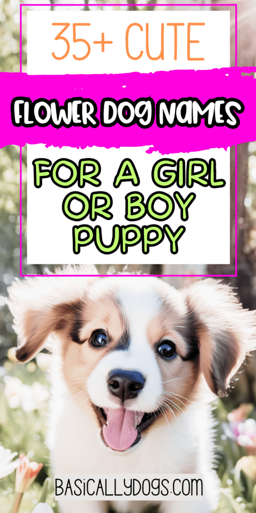 35+ Flower Dog Names_ Unisex, Female, and Male Ideas That Are Cute, Unique, and Fun 2