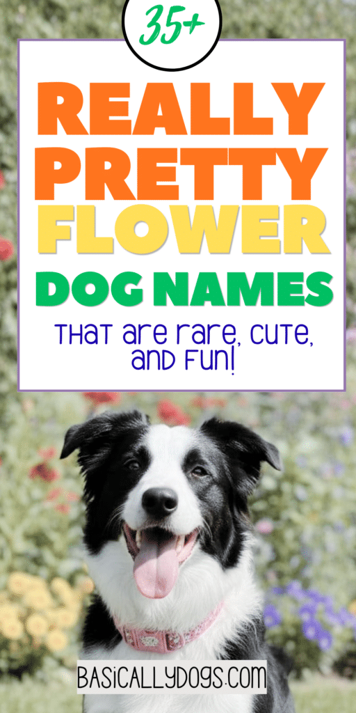 35+ Flower Dog Names_ Unisex, Female, and Male Ideas That Are Cute, Unique, and Fun 3