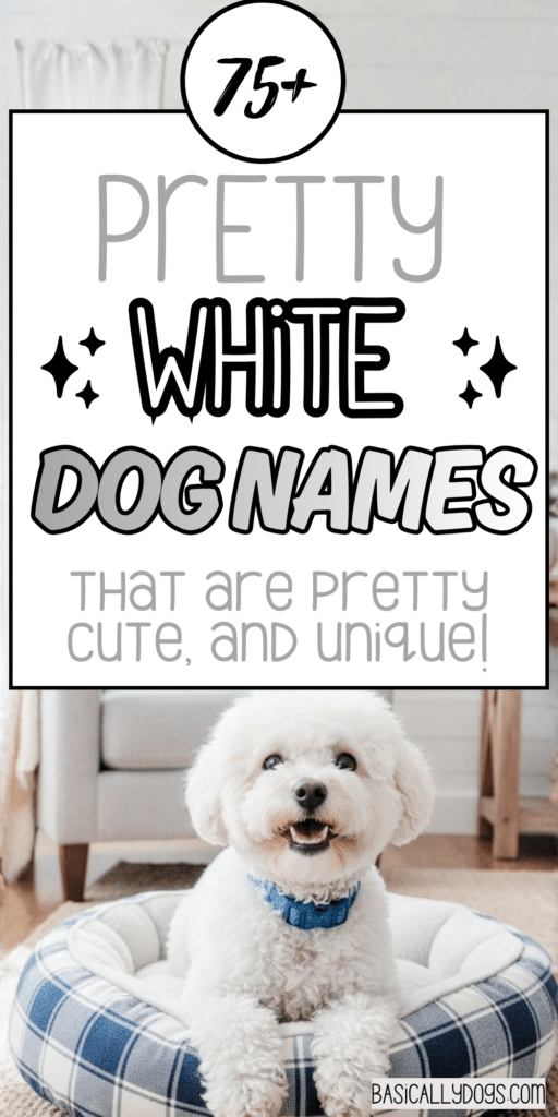 75+ White Dog Names for a Female or Male (Pretty, Cute, Cool, Unique, and Rare) 4
