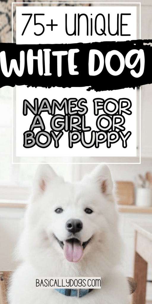 75+ White Dog Names for a Female or Male (Pretty, Cute, Cool, Unique, and Rare) 5
