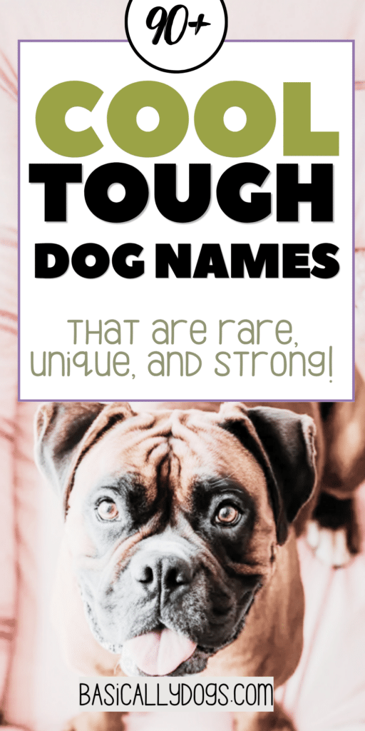 90+ Tough Dog Names for Male & Female Puppies _ Best Picks 4