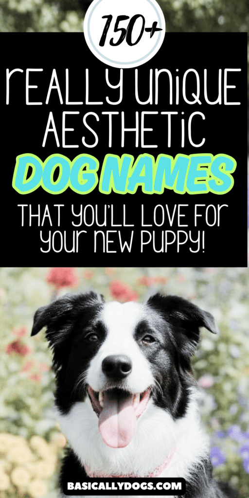 Happy black and white puppy with text overlay "150+ Aesthetic Dog Names for Girl & Boy Puppies