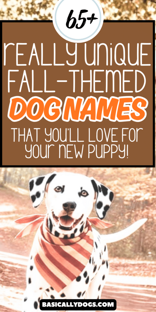 65+ Fall Dog Names_ Cute, Unique Autumn Ideas for a Male or Female 2
