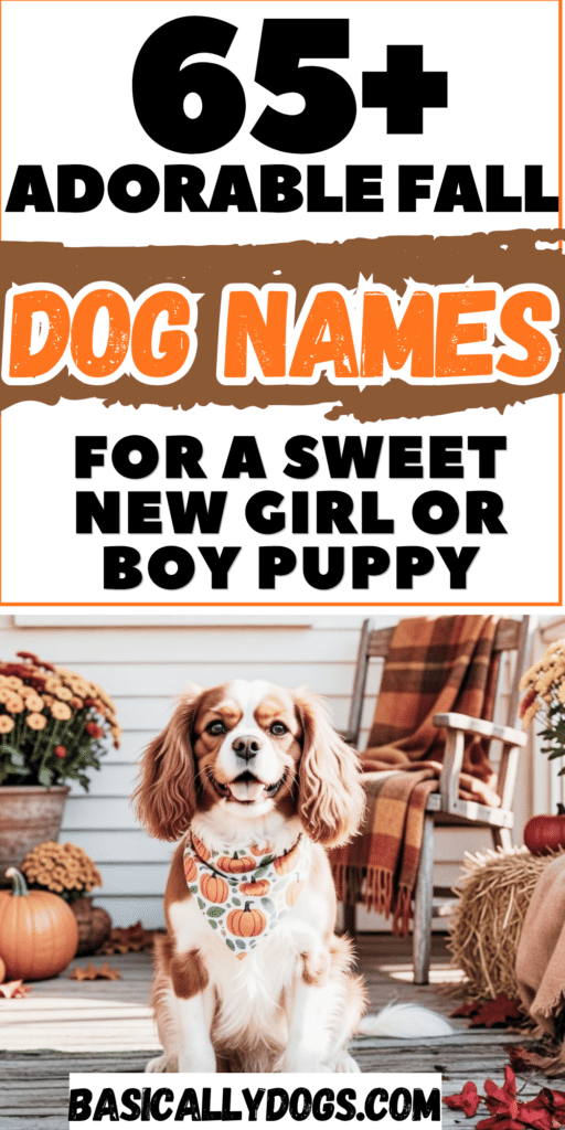 65+ Fall Dog Names_ Cute, Unique Autumn Ideas for a Male or Female 3