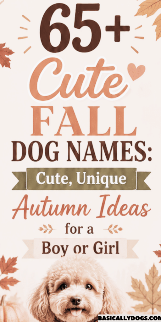 65+ Fall Dog Names_ Cute, Unique Autumn Ideas for a Male or Female 4