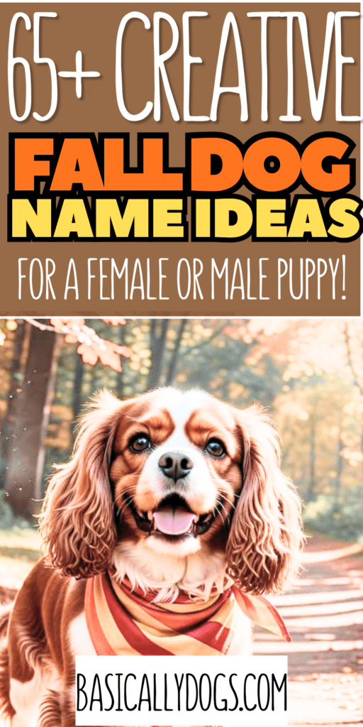 65+ Fall Dog Names_ Cute, Unique Autumn Ideas for a Male or Female 5