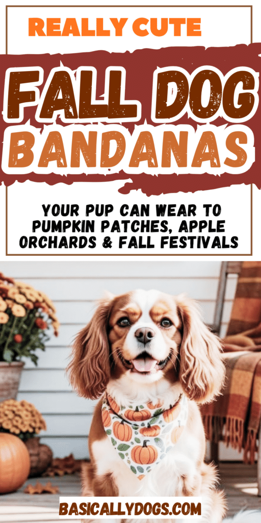 Cute Fall Dog Bandanas Your Pup Can Wear to Pumpkin Patches, Apple Orchards & Fall Festivals 1