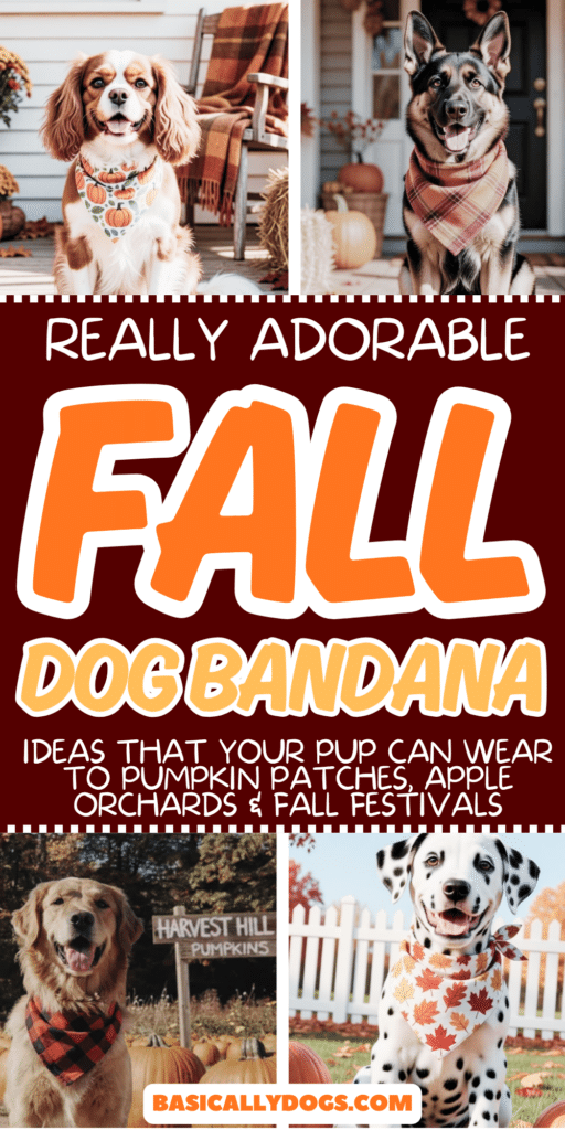 Cute Fall Dog Bandanas Your Pup Can Wear to Pumpkin Patches, Apple Orchards & Fall Festivals 2