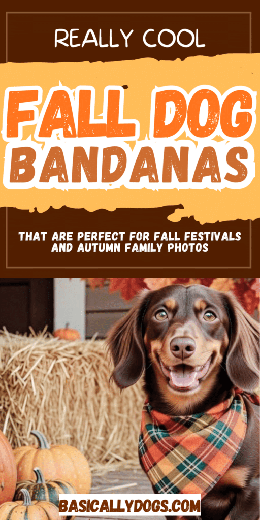 Cute Fall Dog Bandanas Your Pup Can Wear to Pumpkin Patches, Apple Orchards & Fall Festivals 3