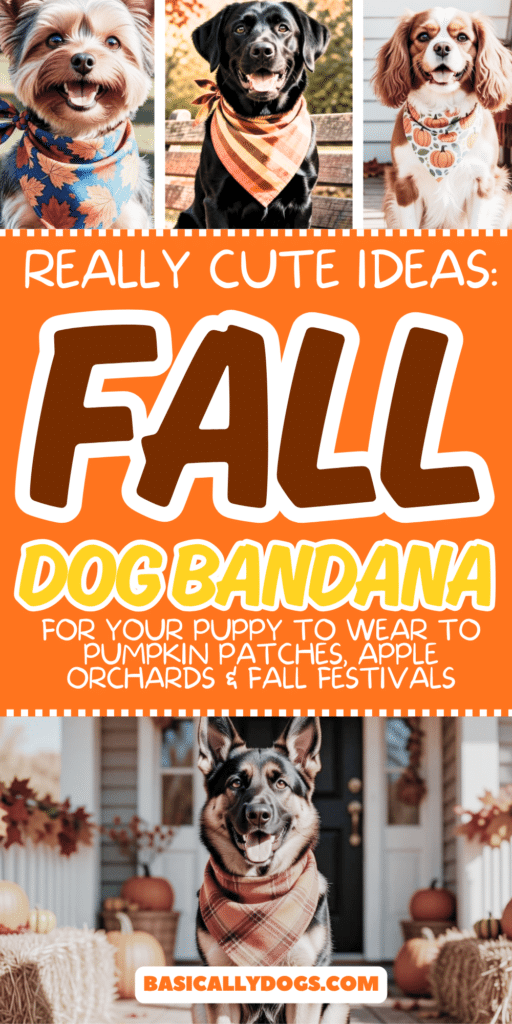 Cute Fall Dog Bandanas Your Pup Can Wear to Pumpkin Patches, Apple Orchards & Fall Festivals 4