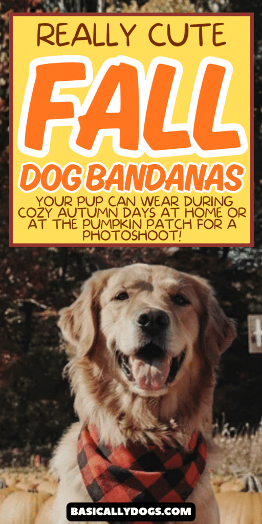 Cute Fall Dog Bandanas Your Pup Can Wear to Pumpkin Patches, Apple Orchards & Fall Festivals 5