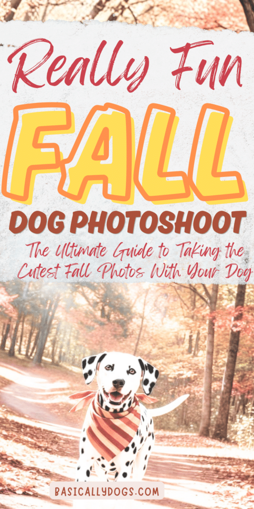 Fall Dog Photoshoot_ Easy Ideas for Sweet Autumn Memories 1
