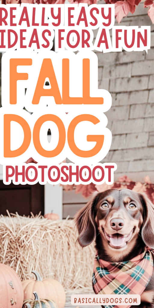 Fall Dog Photoshoot_ Easy Ideas for Sweet Autumn Memories 2