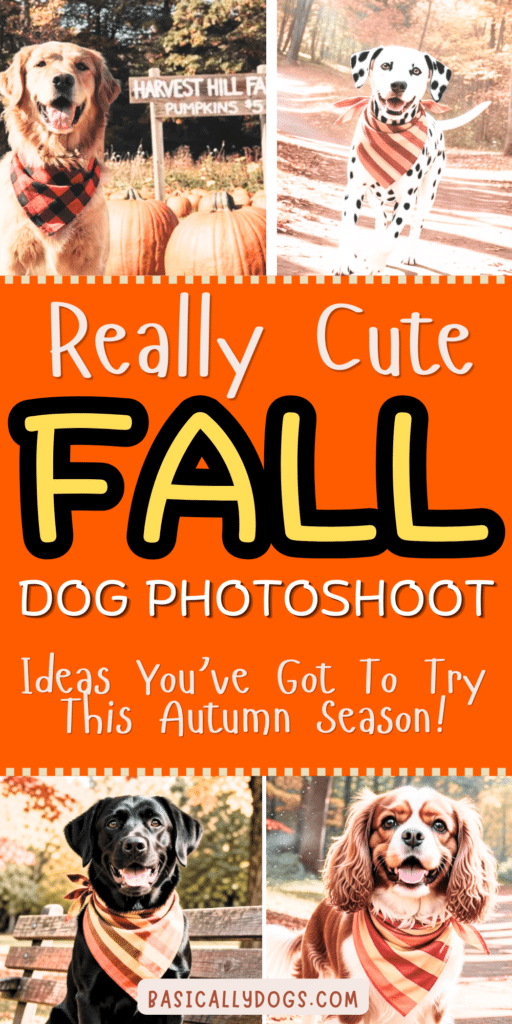Fall Dog Photoshoot_ Easy Ideas for Sweet Autumn Memories 3