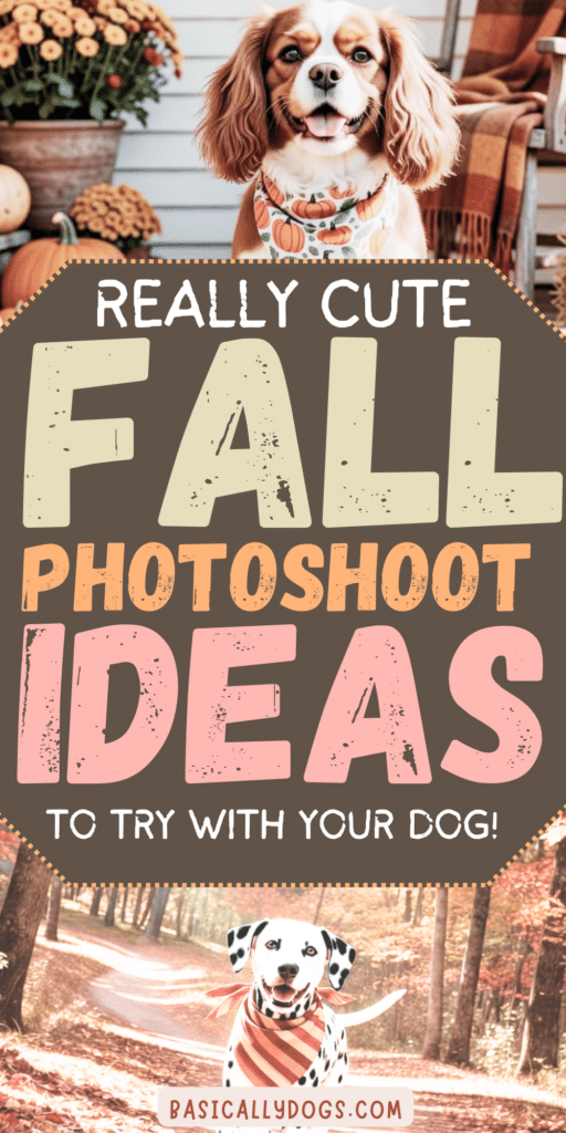 Fall Dog Photoshoot_ Easy Ideas for Sweet Autumn Memories 5