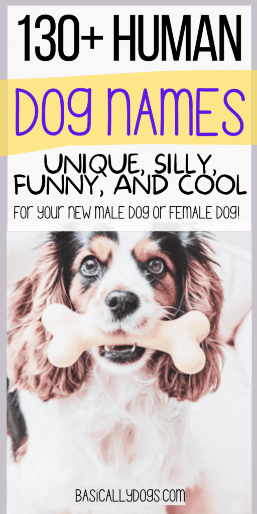 130+ Human Dog Names_ Unique, Silly, Funny, and Cool Names for a Male or Female 1