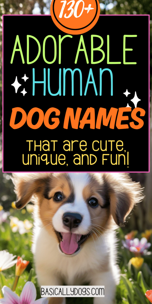 130+ Human Dog Names_ Unique, Silly, Funny, and Cool Names for a Male or Female 3