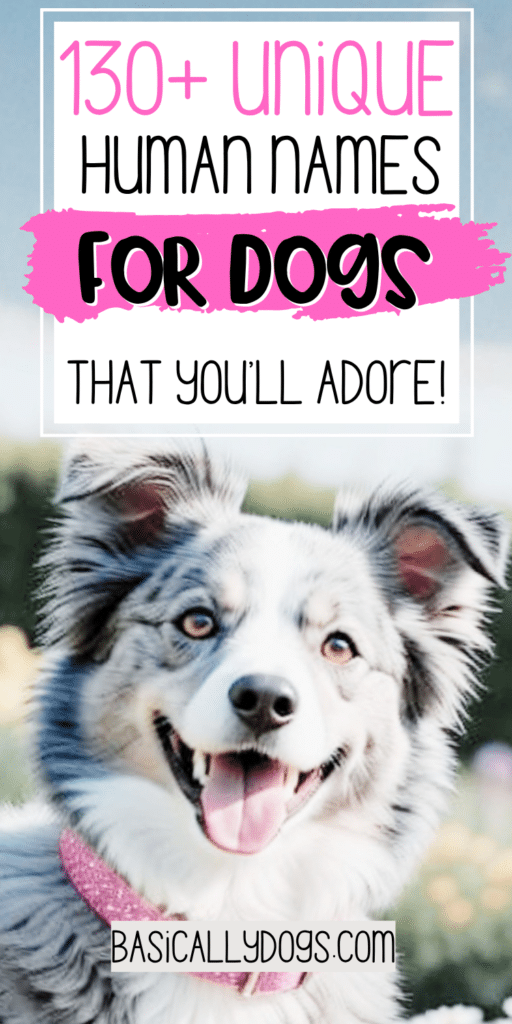130+ Human Dog Names_ Unique, Silly, Funny, and Cool Names for a Male or Female 4