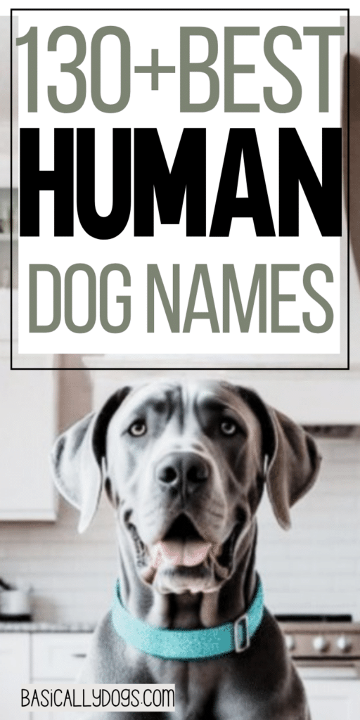 130+ Human Dog Names_ Unique, Silly, Funny, and Cool Names for a Male or Female 5