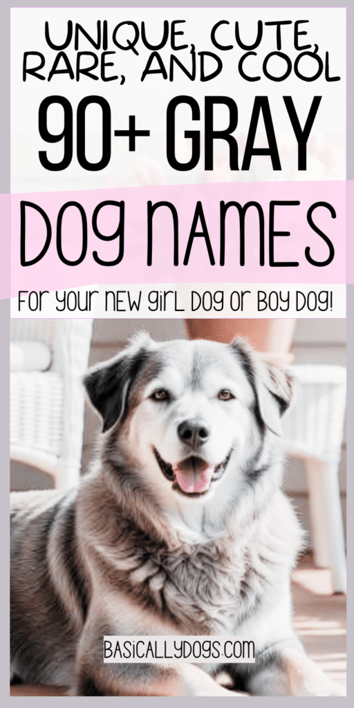 90+ Gray Dog Names_ Unique, Cute, Rare, and Cool Names for a Male or Female 1