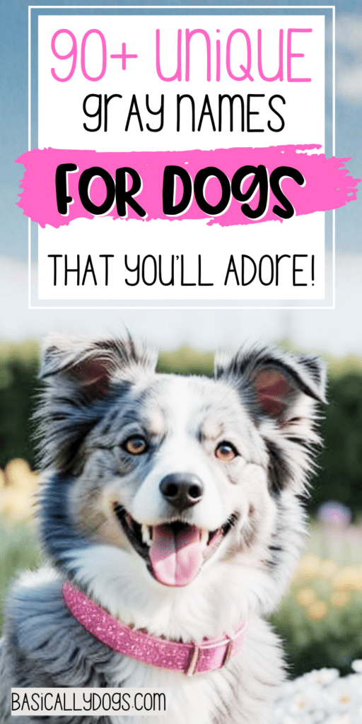 90+ Gray Dog Names_ Unique, Cute, Rare, and Cool Names for a Male or Female 3