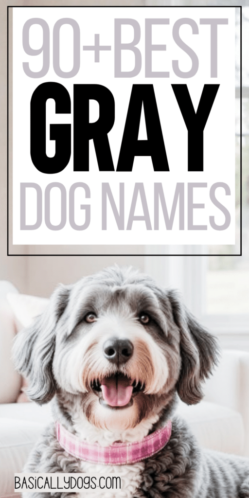 90+ Gray Dog Names_ Unique, Cute, Rare, and Cool Names for a Male or Female 4