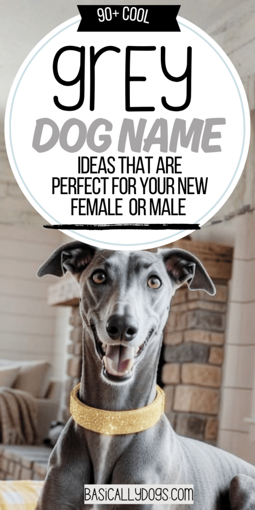 90+ Gray Dog Names_ Unique, Cute, Rare, and Cool Names for a Male or Female 5