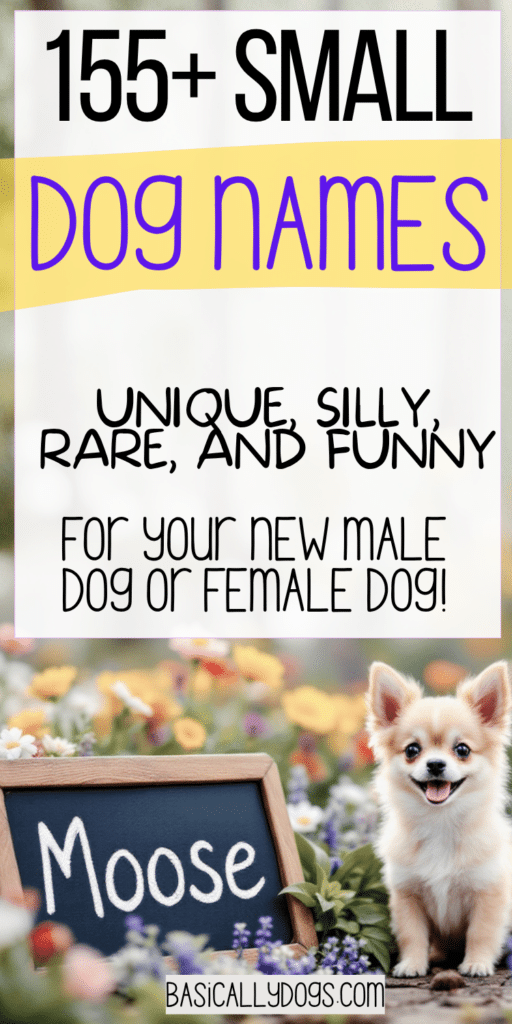 155+ Small Dog Names_ Unique, Silly, Rare, and Funny Names for a Male or Female 1