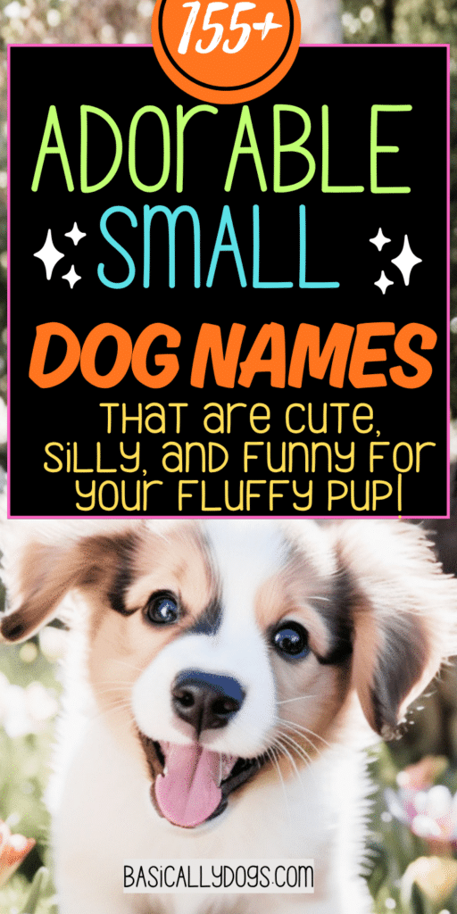 155+ Small Dog Names_ Unique, Silly, Rare, and Funny Names for a Male or Female 3