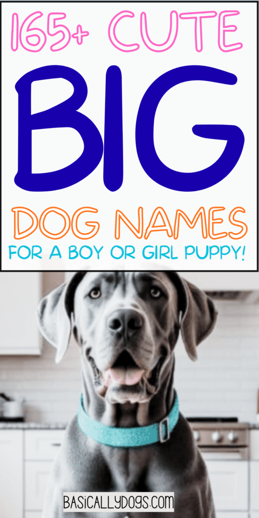 165+ Big Dog Names_ Strong, Cute, Funny, and Unique Ideas for Male and Female Dogs 3