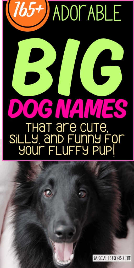 165+ Big Dog Names_ Strong, Cute, Funny, and Unique Ideas for Male and Female Dogs 4