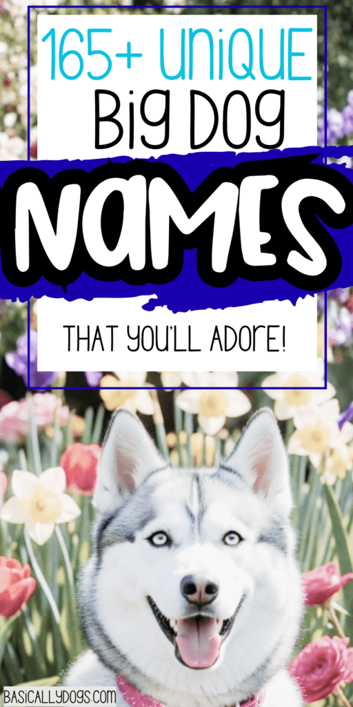165+ Big Dog Names_ Strong, Cute, Funny, and Unique Ideas for Male and Female Dogs 5