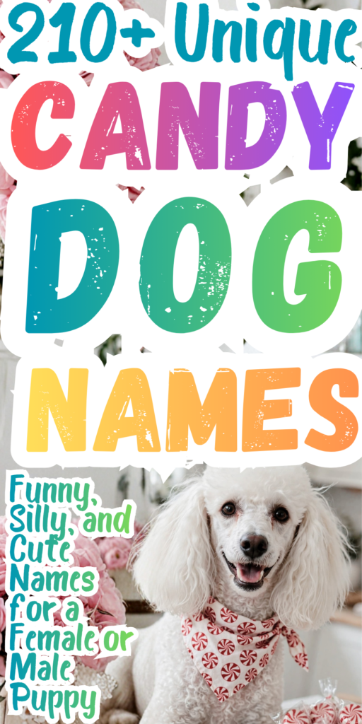 210+ Candy Dog Names_ Sweet, Silly, Funny, and Cute Names for a Boy or Girl Puppy 2