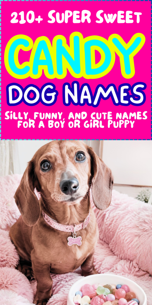 210+ Candy Dog Names_ Sweet, Silly, Funny, and Cute Names for a Boy or Girl Puppy 3