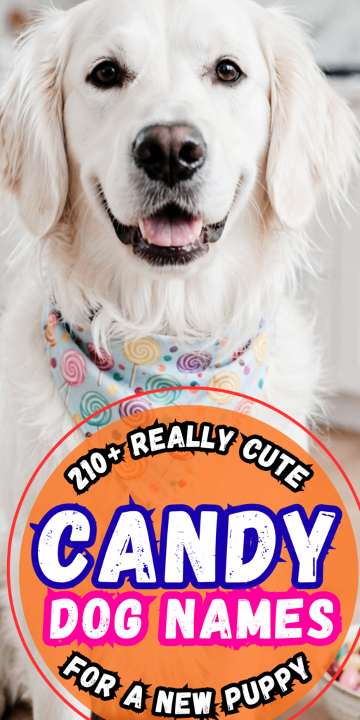 210+ Candy Dog Names_ Sweet, Silly, Funny, and Cute Names for a Boy or Girl Puppy 4